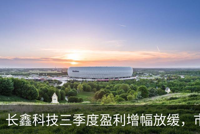 长鑫科技三季度盈利增幅放缓，市值骤减引发市场关注